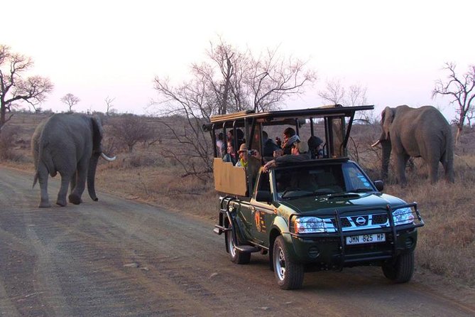 Open Vehical Safari in Kruger National Park Half Day - The Big Five, small five, and ugly five