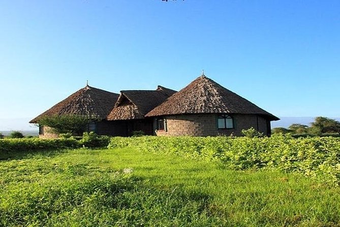 Overnight Amboseli National Park Safari from Nairobi - Why a two-day Amboseli safari works