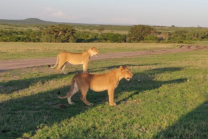 Overnight Amboseli National Park Safari from Nairobi - The Kilimanjaro view and the lodge stay