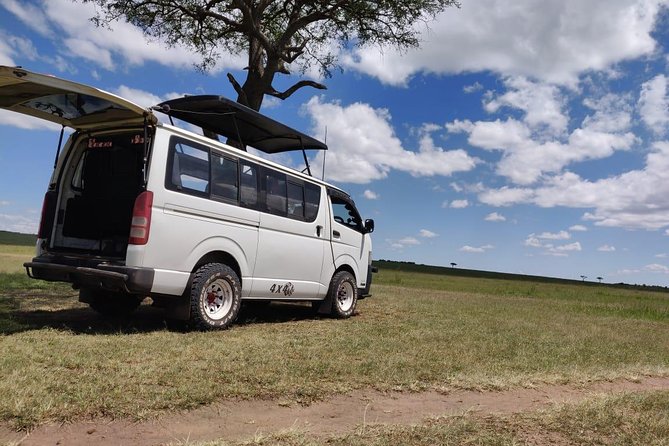 Overnight Amboseli National Park Safari from Nairobi - Day two at Observation Hill