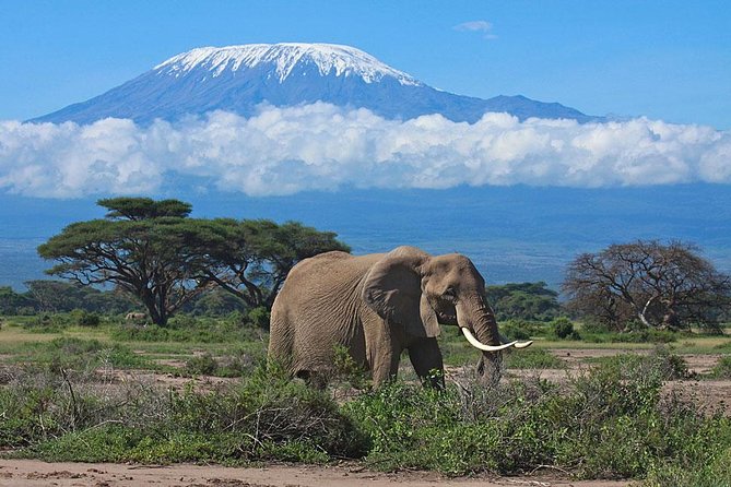 Overnight Amboseli National Park Safari from Nairobi - The road to Amboseli and the first game drive
