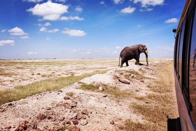 Overnight Safari to Amboseli National Park - Is $623.49 good value?
