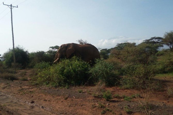Overnight Safari to Amboseli National Park - The five-hour road from Nairobi to Amboseli