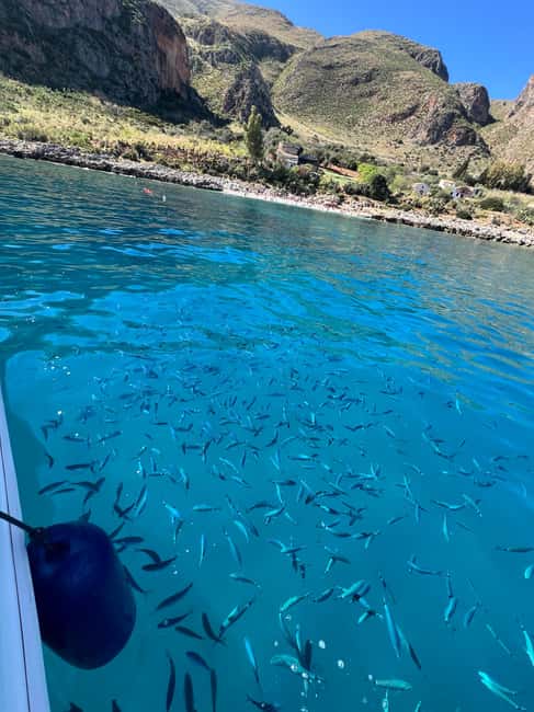 Palermo: Mondello Boat Tour and Nature Reserve with Snacks and Drinks - What to Bring and How to Prepare