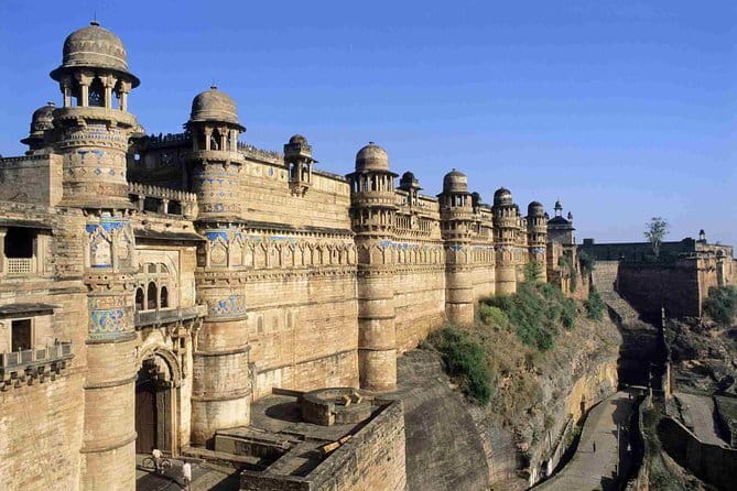 Panna National Park and Tiger Reserve Jeep Safari from Khajuraho - Morning or afternoon: which should you choose?
