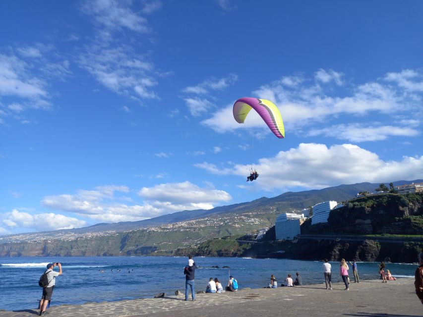 Paragliding from Puerto de la Cruz or Teide National park - Key points to know before you book