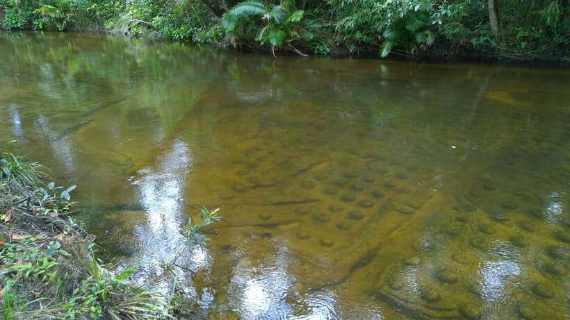 Phnom Kulen National Park Admission Ticket - The reclining Buddha and the climb to the summit