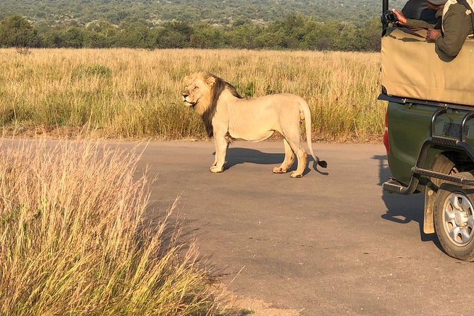 Pilanesberg National Park Full Day Safari From Johannesburg - Why Pilanesberg works as a Johannesburg day trip