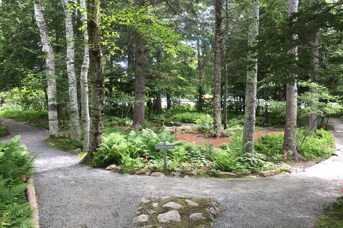 Premium Narrated Bus Tour of Bar Harbor and Acadia National Park (3.5 Hours) - Thunder Hole: a short coastal stop with real drama