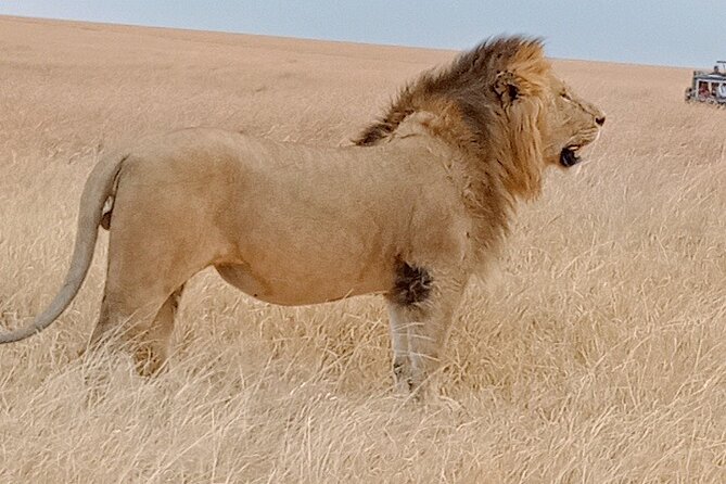 Private 6-Days Tour Exploring in Amboseli & Nakuru National Park - Five details that shape this Kenya safari