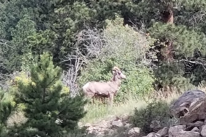 Private and Personalized Three Hour Morning Tour of Rocky Mountain National Park - Key points at a glance