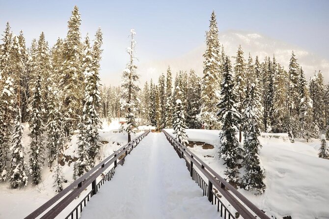 Private Banff and Yoho National Park Tour with Moraine Lake - Lower Spiral Tunnels: a clever start to the day