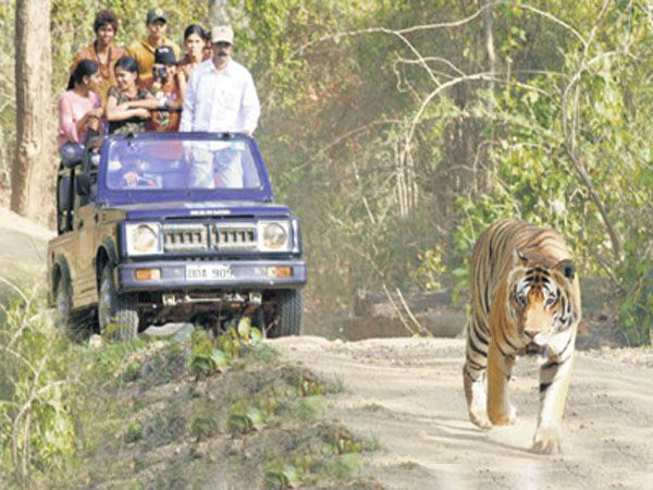 Private Bannerghatta National Park Day Excursion - Key Points Before You Book