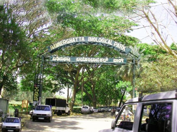 Private Bannerghatta National Park Day Excursion - Leaving Bangalore at 7:30 am