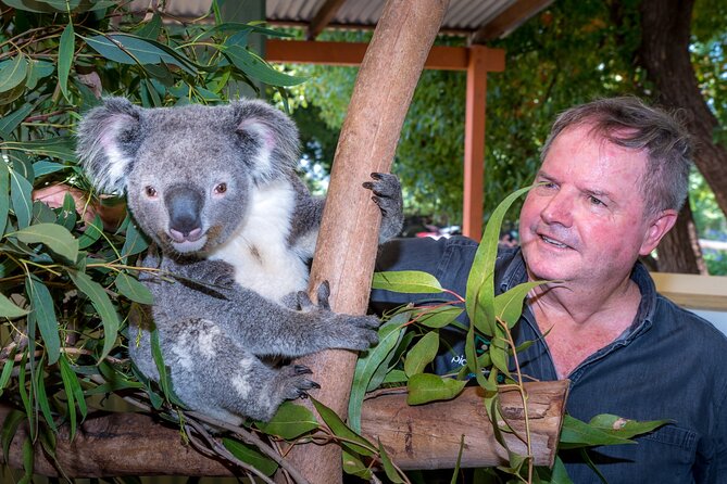 PRIVATE Blue Mountains Wilderness & Wildlife Late Start Tour - Lawson lunch and the food plan