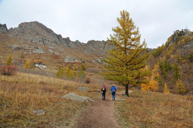 Private Day Tour: Terelj National Park and Genghis Khan Statue - How the Private Format Changes the Day