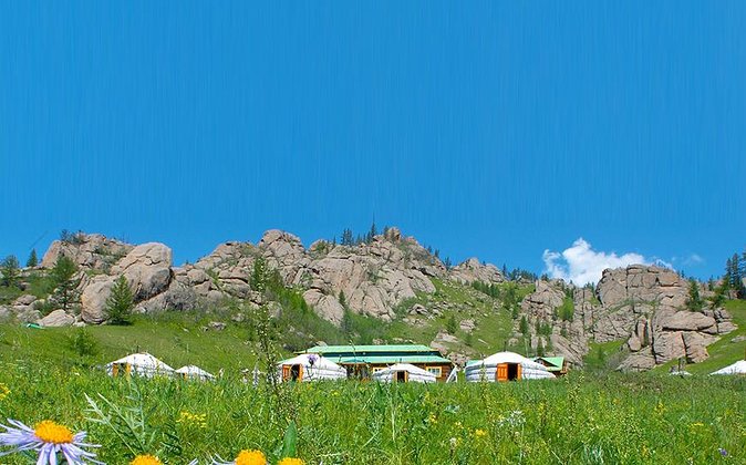 Private Day Tour: Terelj National Park + Genghis Khan's Statue .. - Turtle Rock gives you a quick, memorable park photo