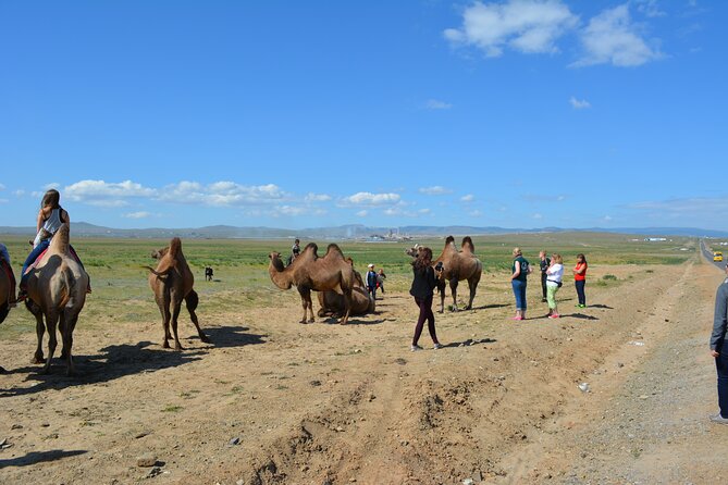 Private Day Tour: Terelj National Park + Genghis Khan's Statue .. - Optional activities can change the pace