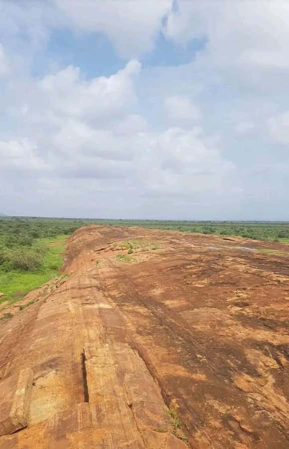 Private day tour to Tsavo East National Park - Key Points