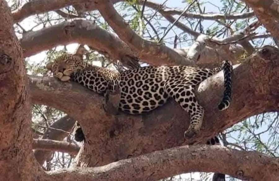 Private day tour to Tsavo East National Park - Is $286 a Fair Price?