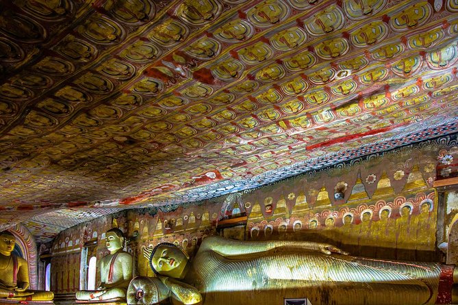 Private Day Trip to Sigiriya, cave and National park Safari Tour - The private car is useful, but check its size