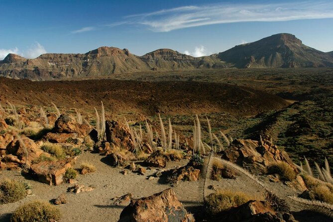 Private excursion to Teide National Park - Key points at a glance
