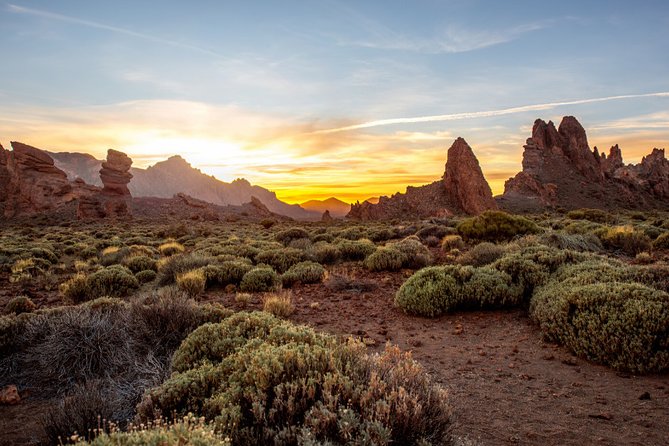 Private excursion to Teide National Park - Who should book this excursion?