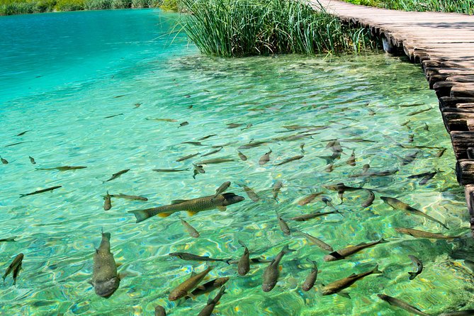 Private experience of Rastoke and Plitvice Lakes from Zagreb - Plitvice Lakes: five hours on foot and water