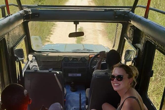 Private Full-Day Trip to Mikumi National Park from Dar es Salaam - Why Mikumi works as a one-day safari