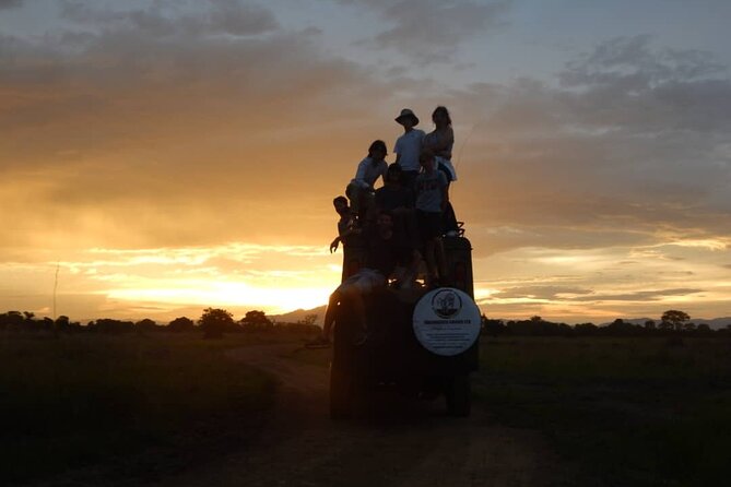 Private Full-Day Trip to Mikumi National Park from Dar es Salaam - Four to five hours inside Mikumi National Park