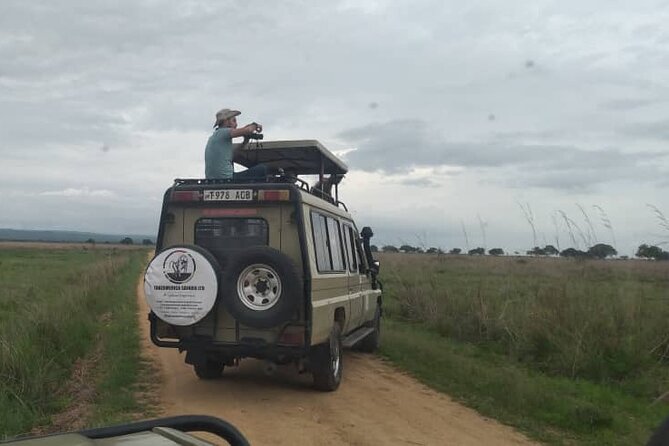 Private Full-Day Trip to Mikumi National Park from Dar es Salaam - What the private format really gives you