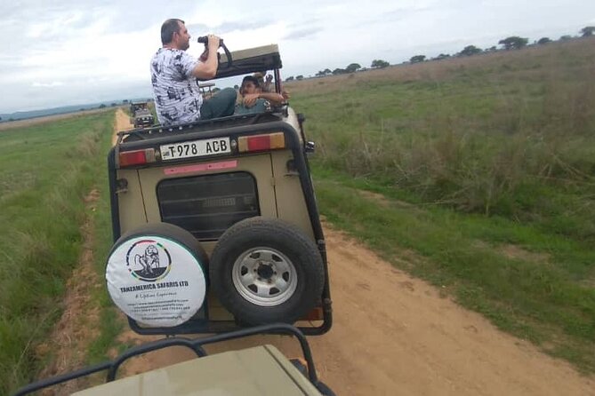 Private Full-Day Trip to Mikumi National Park from Dar es Salaam - Lunch in Morogoro breaks up the road journey