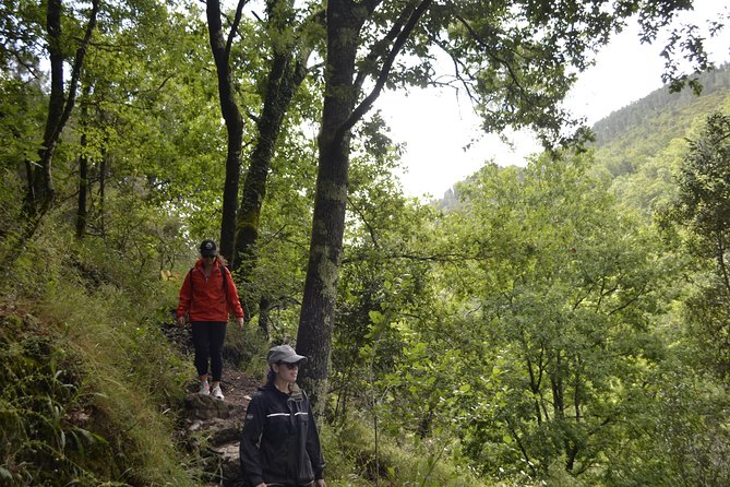 Private Geres National Park Tour with Lunch and Transfers - Walking choices for different fitness levels