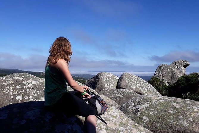 Private Guided Hike in Sintra-Cascais National Park, Lisbon - Is $114.15 per person good value?