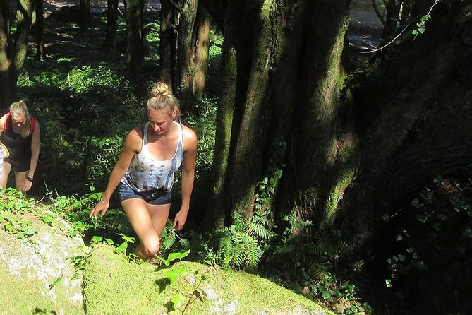 Private Guided Hike in Sintra-Cascais National Park, Lisbon - Timing, meeting points, and what to clarify
