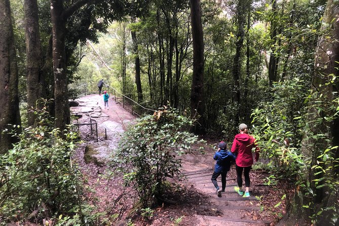 Private Guided Tour from Sydney to Blue Mountains National Park - Who will enjoy this private Blue Mountains day?