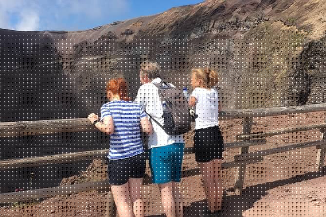Private Half-Day Sightseeing Tour of Vesuvius National Park - Booking and Weather Details to Know
