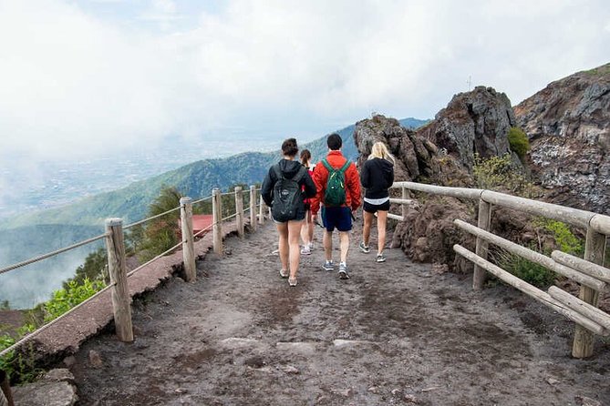 Private Half-Day Sightseeing Tour of Vesuvius National Park - The Walk to the Crater