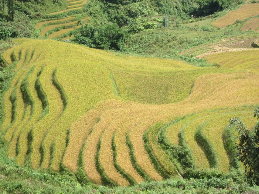 Private Hoang Lien National Park & Tribal Village Trek - Reaching Sin Chai and meeting the Black Hmong community