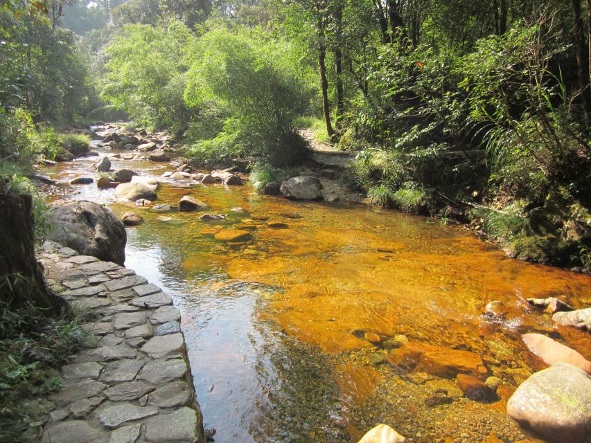 Private Hoang Lien National Park & Tribal Village Trek - Guides, weather, and the realities of the route
