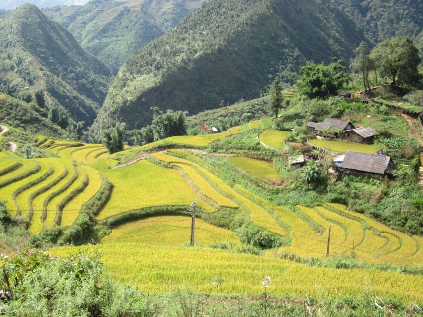 Private Hoang Lien National Park & Tribal Village Trek - Should you book this private trek?