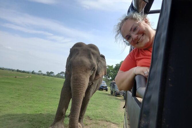 Private Jeep Safari at Minneriya National Park to Visit Elephants - A closer look at the three to four hours