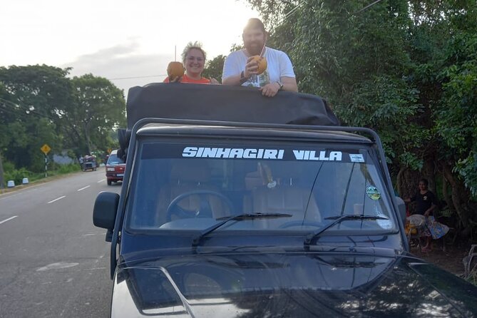 Private Jeep Safari at Minneriya National Park to Visit Elephants - Who should book this safari?