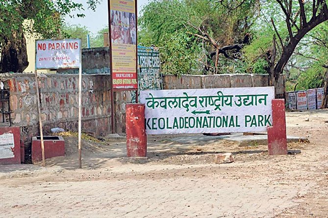 Private Keoladeo National Park Tour sightseeing - All Inclusive - Who will enjoy this most?