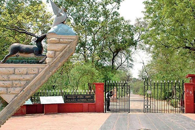 Private Keoladeo National Park Tour sightseeing - All Inclusive - What happens during the three-hour visit?