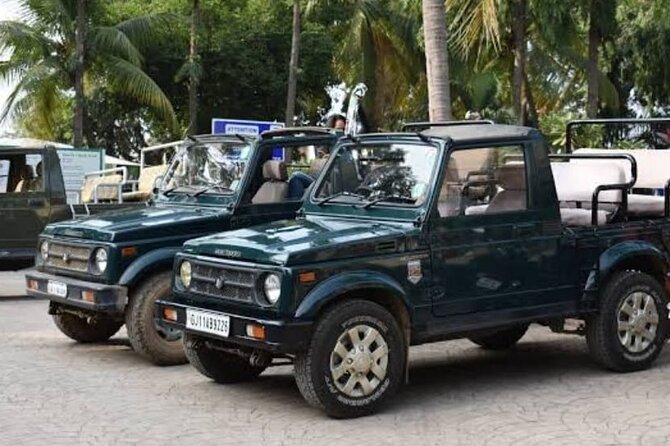 Private Lion Safari in the Gir National Park in Gujarat - Inside the private jeep