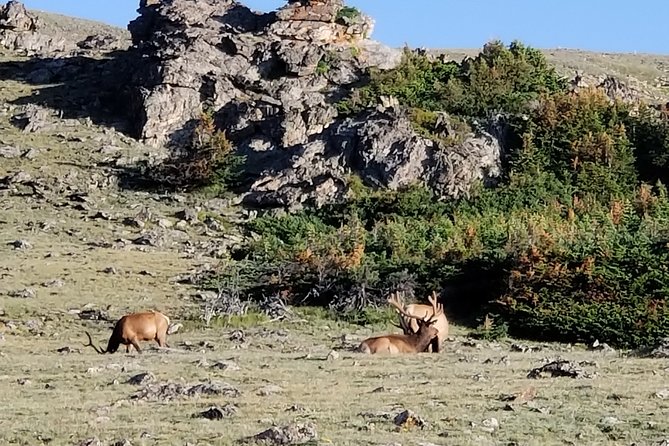 Private Three Hour Afternoon Custom Tour of Rocky Mountain National Park - Key points to know before booking