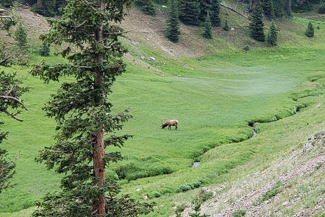 Private Three Hour Afternoon Custom Tour of Rocky Mountain National Park - Bruce’s guiding style and what it adds