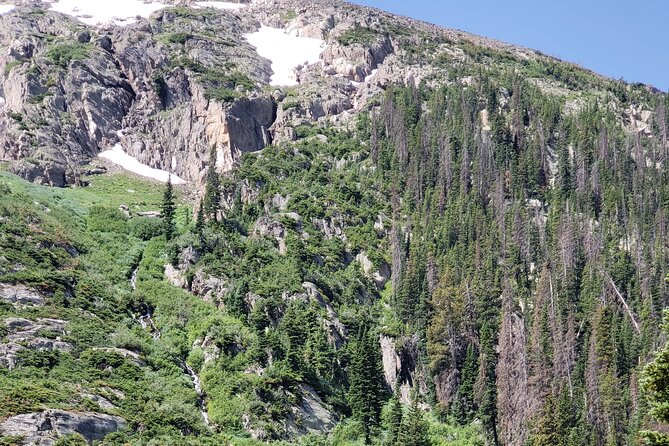 Private Three Hour Afternoon Custom Tour of Rocky Mountain National Park - Wildlife watching around the Estes Valley
