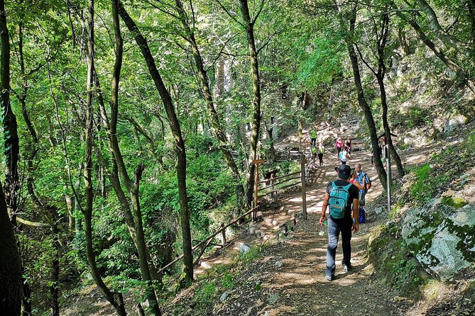 Private Tour: Amalfi Valle delle Ferriere Nature Reserve Walking Tour - The climb toward Pontone